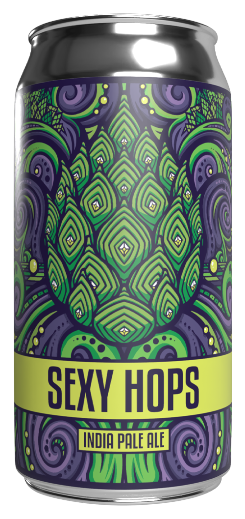 SAIRU BEER FOR NOW 激レア　7インチ SAIRU BEER FOR NOW 激レア 7インチ SAIRU BEER FOR NOW 激レア 7